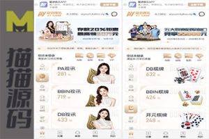 高仿的爱游、综合平台源代码、PG源代码，包括电竞、博彩、彩票和真人视讯等源码